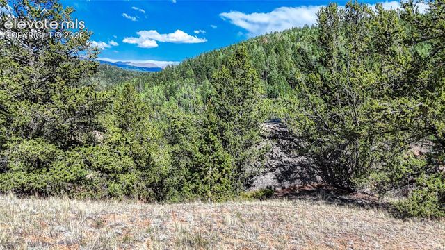 282 Fairview Drive, Cripple Creek, CO 80813