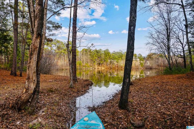 4587 CABIN ROAD, Bessemer, AL 35022