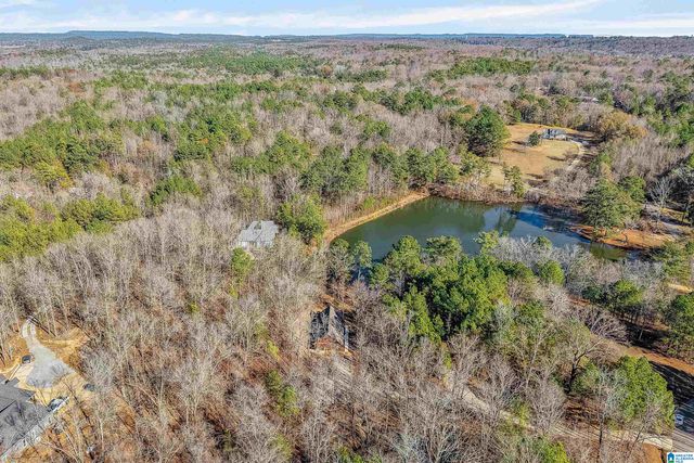 4587 CABIN ROAD, Bessemer, AL 35022