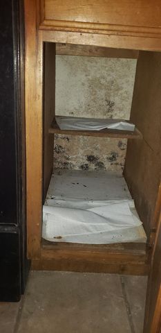 2425 Holly Hall Street F80, Houston, TX 77054