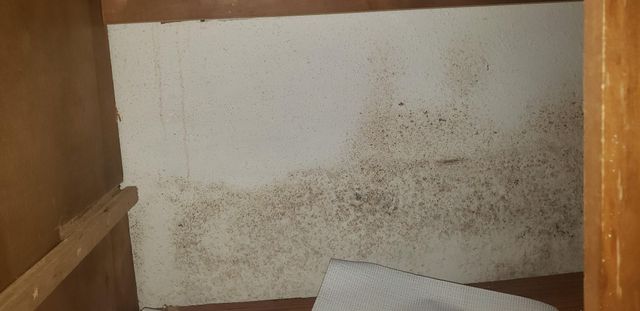 2425 Holly Hall Street F80, Houston, TX 77054