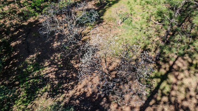 22401 Shake Ridge Rd, Volcano, CA 95689