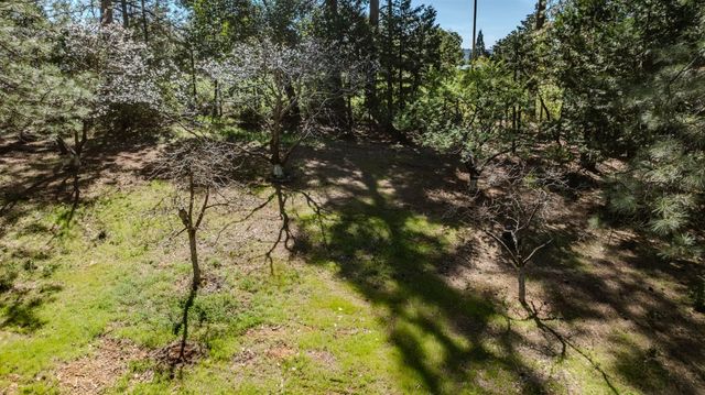 22401 Shake Ridge Rd, Volcano, CA 95689