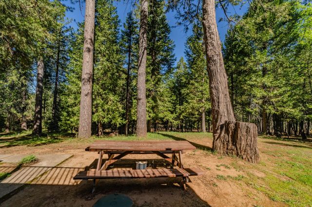22401 Shake Ridge Rd, Volcano, CA 95689