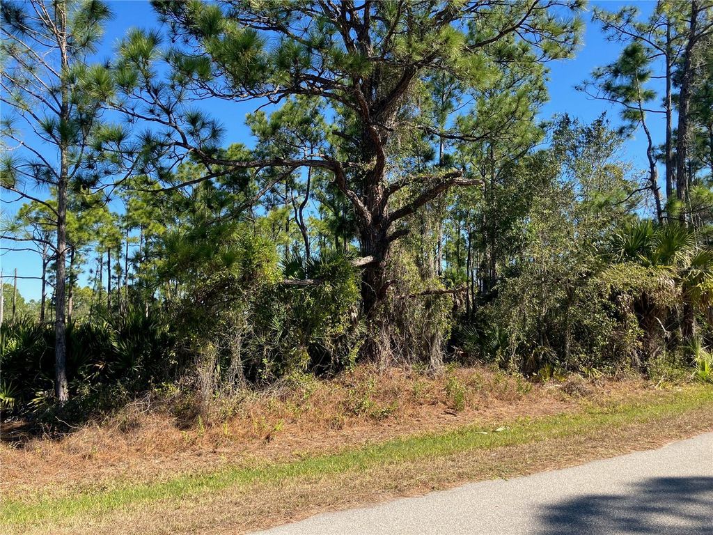 Image 4 of property listing at 26334 EAGER ROAD, Punta Gorda, FL 33955