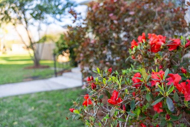 151 Snell Street, Midland City, AL 36350