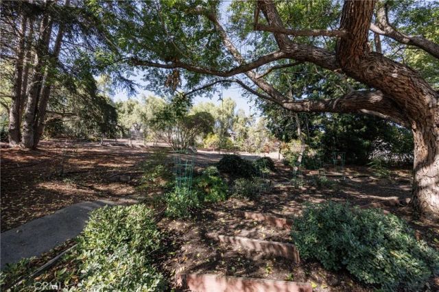 31561 Peppertree Bend, San Juan Capistrano, CA 92675