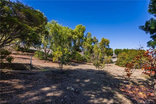 31561 Peppertree Bend, San Juan Capistrano, CA 92675