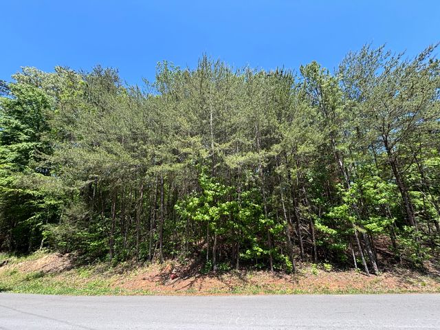 670 Lake View Drive, New Hope, TN 37380