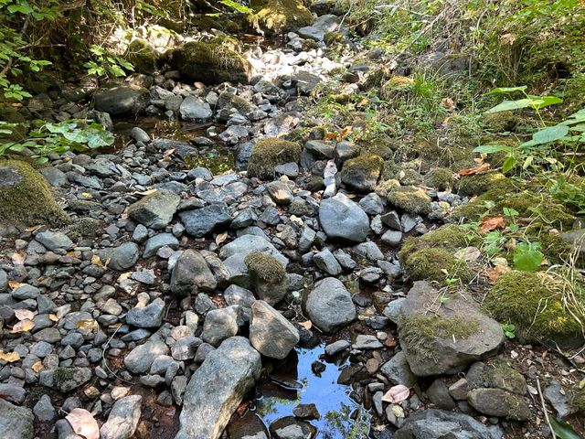 17215 Sweetwater Trl, Grass Valley, CA 95945