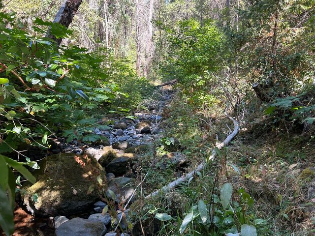 17215 Sweetwater Trl, Grass Valley, CA 95945