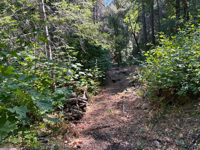 17215 Sweetwater Trl, Grass Valley, CA 95945