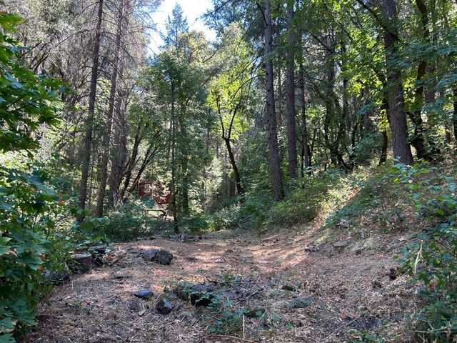 17215 Sweetwater Trl, Grass Valley, CA 95945
