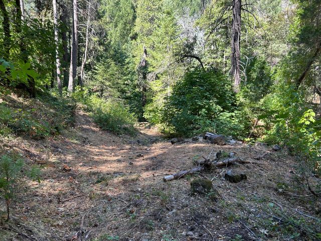 17215 Sweetwater Trl, Grass Valley, CA 95945