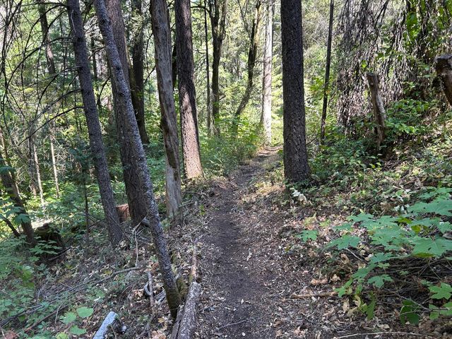 17215 Sweetwater Trl, Grass Valley, CA 95945