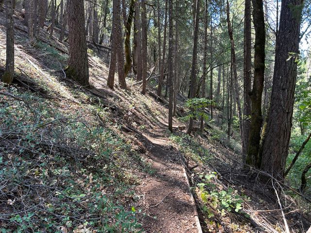 17215 Sweetwater Trl, Grass Valley, CA 95945