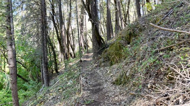 17215 Sweetwater Trl, Grass Valley, CA 95945