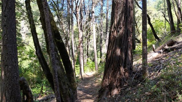 17215 Sweetwater Trl, Grass Valley, CA 95945