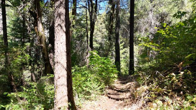 17215 Sweetwater Trl, Grass Valley, CA 95945