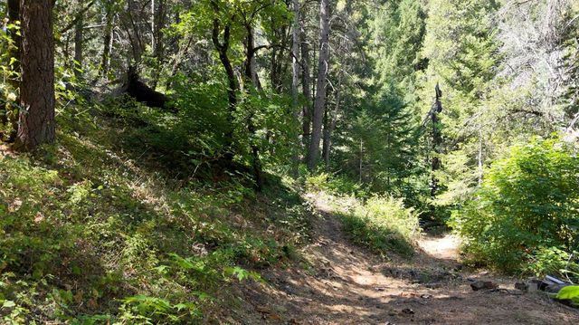 17215 Sweetwater Trl, Grass Valley, CA 95945