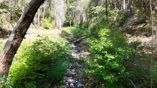 17215 Sweetwater Trl, Grass Valley, CA 95945