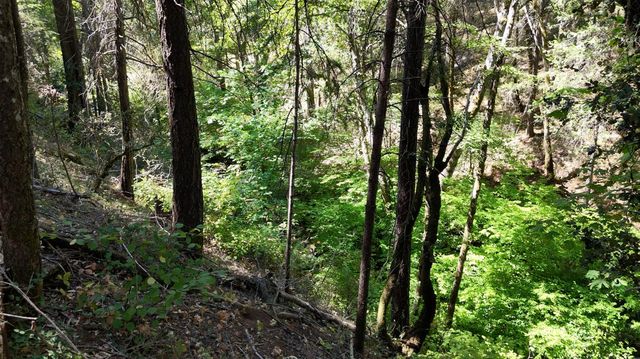 17215 Sweetwater Trl, Grass Valley, CA 95945