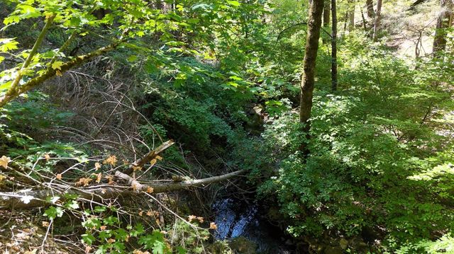 17215 Sweetwater Trl, Grass Valley, CA 95945