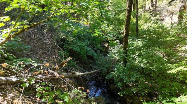 17215 Sweetwater Trl, Grass Valley, CA 95945