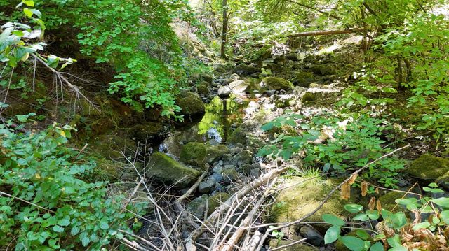 17215 Sweetwater Trl, Grass Valley, CA 95945