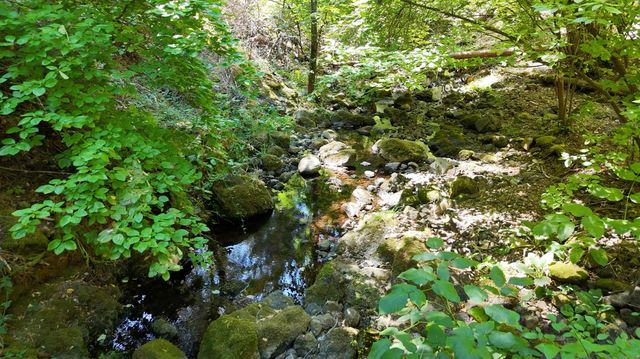 17215 Sweetwater Trl, Grass Valley, CA 95945