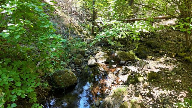 17215 Sweetwater Trl, Grass Valley, CA 95945