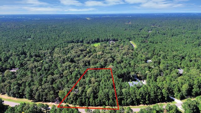 10317 Crown Ranch Boulevard, Montgomery, TX 77316