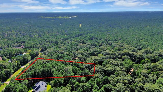 10317 Crown Ranch Boulevard, Montgomery, TX 77316