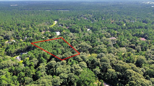 10317 Crown Ranch Boulevard, Montgomery, TX 77316
