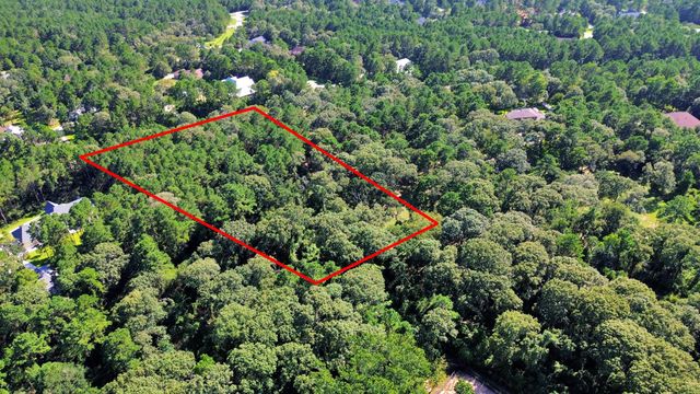 10317 Crown Ranch Boulevard, Montgomery, TX 77316