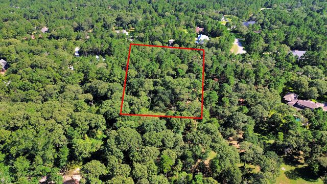10317 Crown Ranch Boulevard, Montgomery, TX 77316