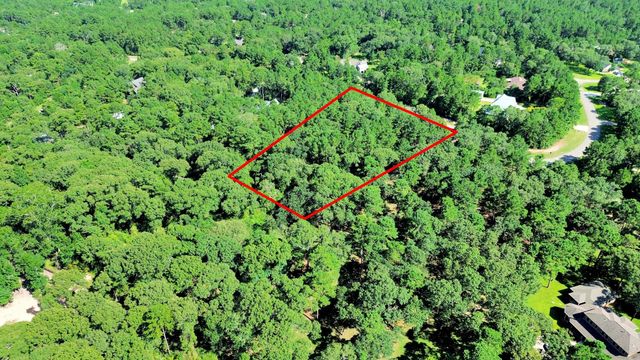 10317 Crown Ranch Boulevard, Montgomery, TX 77316