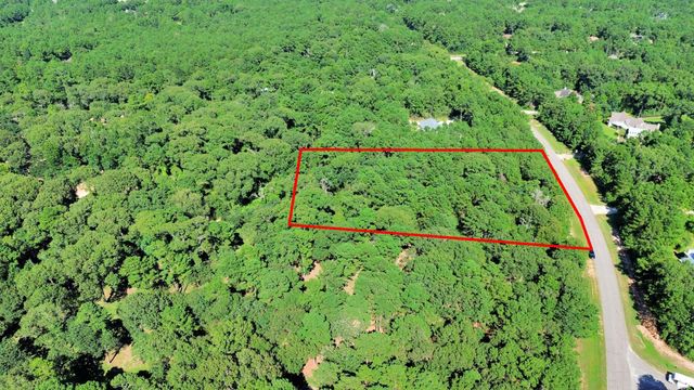 10317 Crown Ranch Boulevard, Montgomery, TX 77316