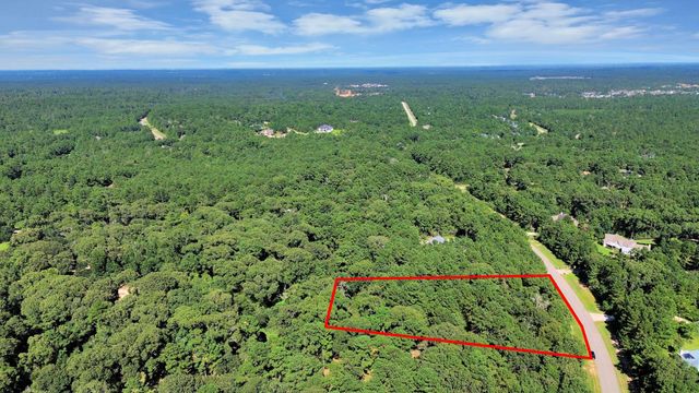 10317 Crown Ranch Boulevard, Montgomery, TX 77316
