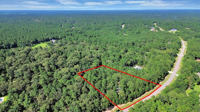 10317 Crown Ranch Boulevard, Montgomery, TX 77316