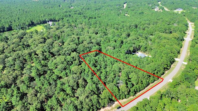10317 Crown Ranch Boulevard, Montgomery, TX 77316