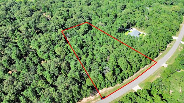 10317 Crown Ranch Boulevard, Montgomery, TX 77316