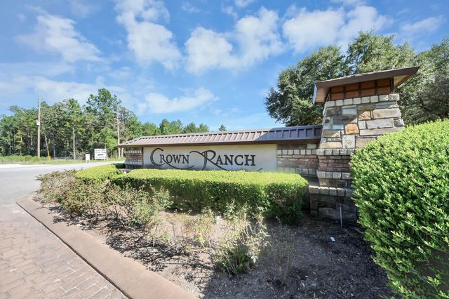 10317 Crown Ranch Boulevard, Montgomery, TX 77316