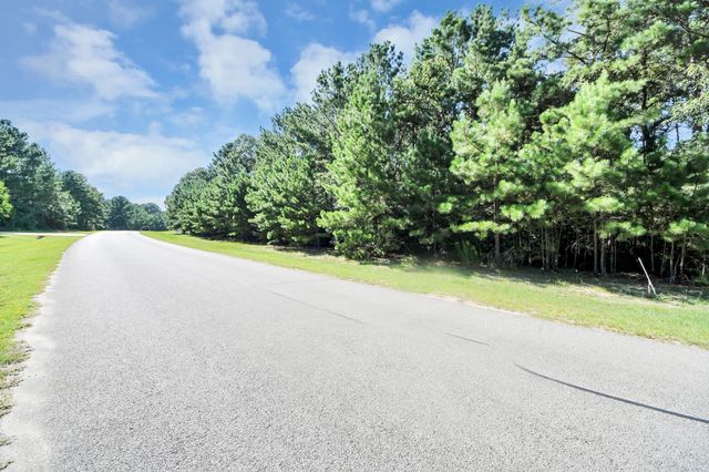 10317 Crown Ranch Boulevard, Montgomery, TX 77316