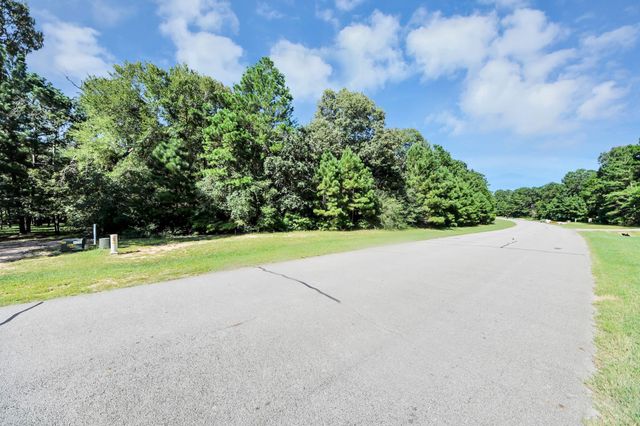 10317 Crown Ranch Boulevard, Montgomery, TX 77316