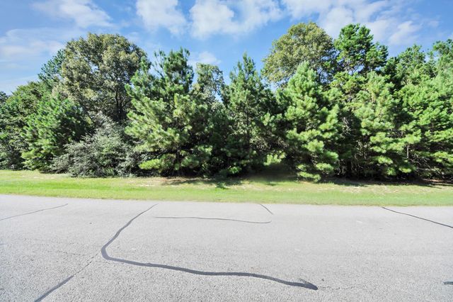10317 Crown Ranch Boulevard, Montgomery, TX 77316