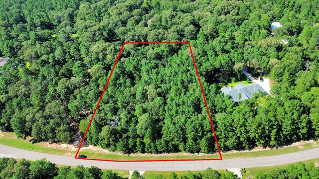 10317 Crown Ranch Boulevard, Montgomery, TX 77316