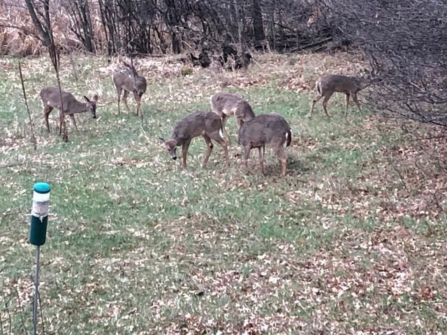 3642 Maple Drive S, Cambridge, MN 55008