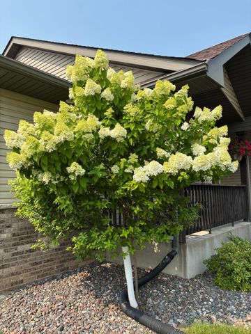 3642 Maple Drive S, Cambridge, MN 55008