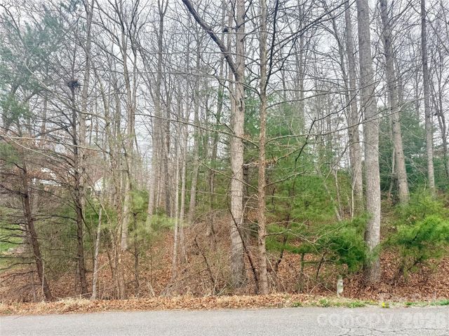 85 Baton Lane, Hendersonville, NC 28792